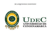 Udec